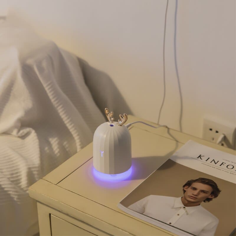 Petit humidificateur d'air 2en1 pour chambre - WIZZ