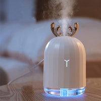 Petit humidificateur d'air 2en1 pour chambre - WIZZ