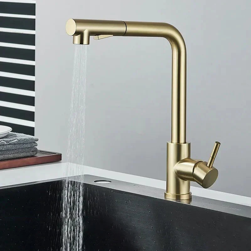 Robinet Lavabo avec Douchette Extractible en Acier Inoxydable