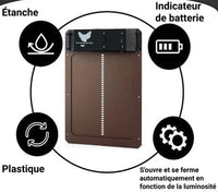 Porte de Poulailler Automatique