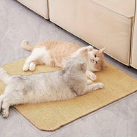 tapis chat griffoir adhésif
