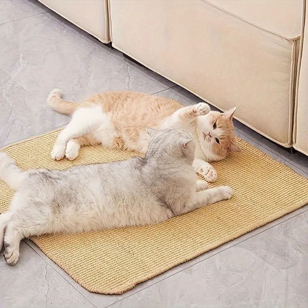 tapis chat griffoir adhésif
